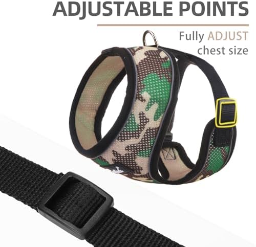 PUPTECK Small Dog Harness and Leash Set No Pull - Image 3