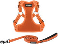 Best Pet Supplies Voyager Adjustable Step-in Flex Breathable Mesh Dog Harness by BestPetSuppliesLLC