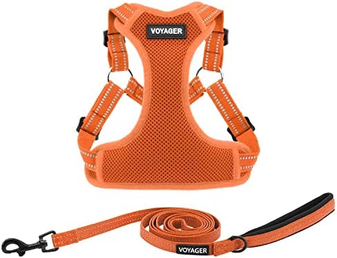 Best Pet Supplies Voyager Adjustable Step-in Flex Breathable Mesh Dog Harness by BestPetSuppliesLLC
