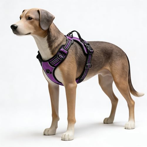 Purple No-Pull Dog Harness - Image 4