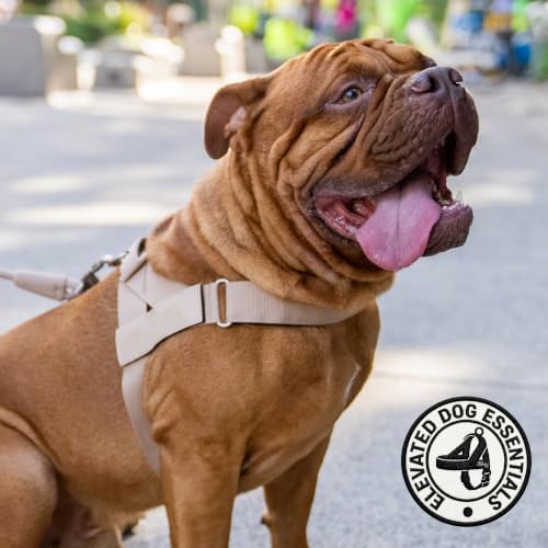 Dog Friendly Co. Dog Harness for Small Dogs - Image 6