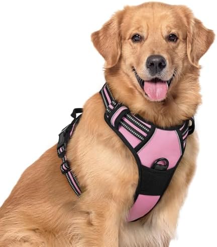 rabbitgoo Dog Harness No Pull by rabbitgoo