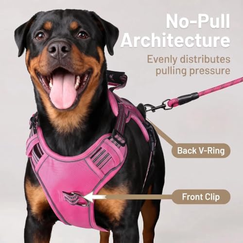 Dog Harness and Leash Set for Small Dogs, No Pull Tactical Dog Harness - Image 3