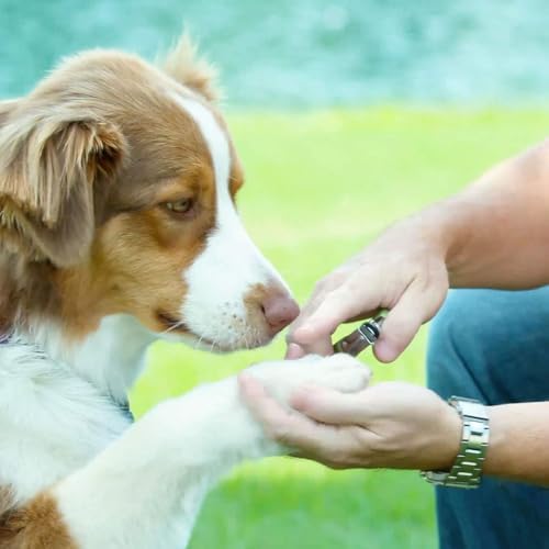 Coastal Pet Safari Guillotine Dog Nail Trimmer - Image 2