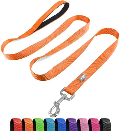 6 FT Reflective Dog Leash for Small Dogs by Penseepet