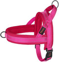 Didog No Pull Dog Harness for Medium Dogs, Breathable Mesh, Hot Pink by Didog