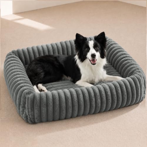 FURTIME Washable Dog Bed Medium Size Dog, Foam Pet Bed 30" by FURTIME
