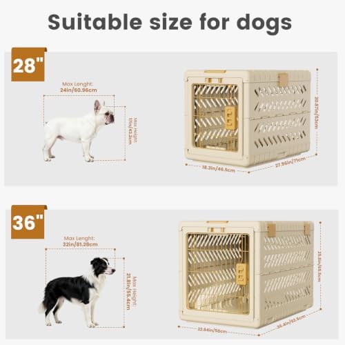 Collapsible Dog Crate for Large/Medium Dogs - Image 5