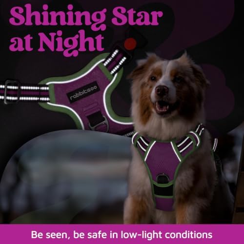 rabbitgoo Dog Harness for Large, No Pull 3 Buckles Easy On & Off - Image 6