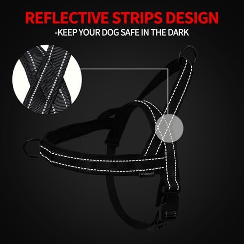 No Pull Dog Harness & 5FT Leash Set - Image 3