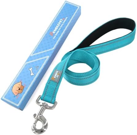 6 FT Basic Dog Leash for Large Dogs, Sky Blue - Image 6
