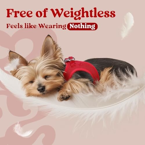 rabbitgoo Step-in Small Dog Harness, Puppy Vest - Image 5