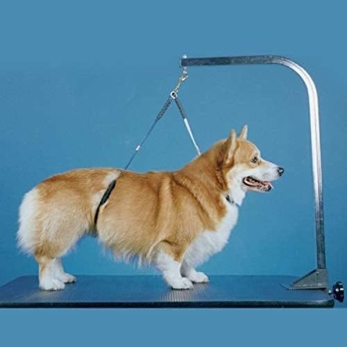 No Sit Haunch Holder Dog Grooming Restraint Restraint - Image 4