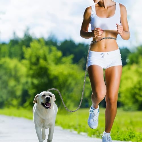 Mile High Life Hands Free Dog Leash, Crossbody Waist Leash - Image 2