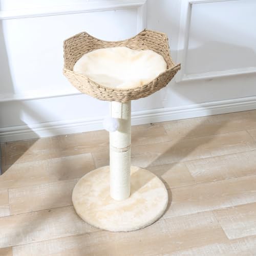SHENGOCASE Small Cat Tree Tower - Image 4