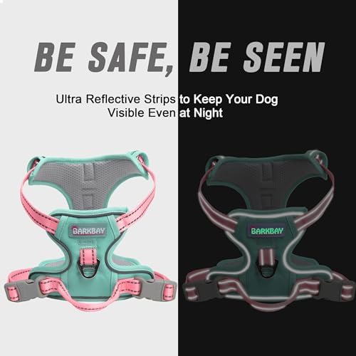 BARKBAY Dog Harness No Pull for Small Sized Dog Front Back Clips, Dog Vest - Image 5