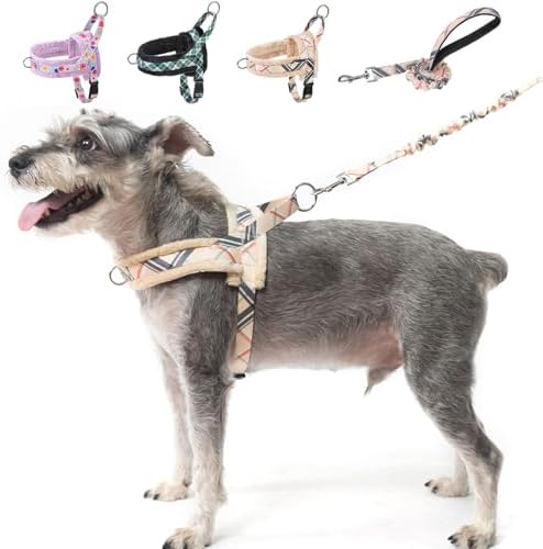 BEAUTYZOO No Pull Small Dog Harness and Leash Set, Soft Puppy Vest Harness by BEAUTYZOO