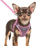 Eagloo Small Dog Harness and Leash Set, Step in Extra Small Puppy Pet Vest by GoExplorewithEagloo