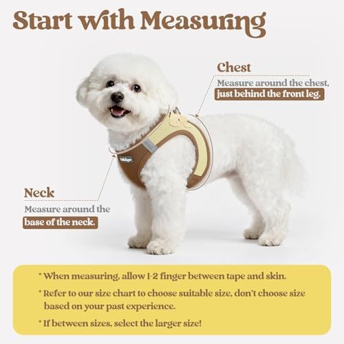 rabbitgoo Dog Harness Small Sized and Leash Set, Step-in Puppy Pet Vest - Image 2