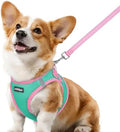 rabbitgoo Dog Harness Small Sized and Leash Set, Step in Soft Vest by rabbitgoo
