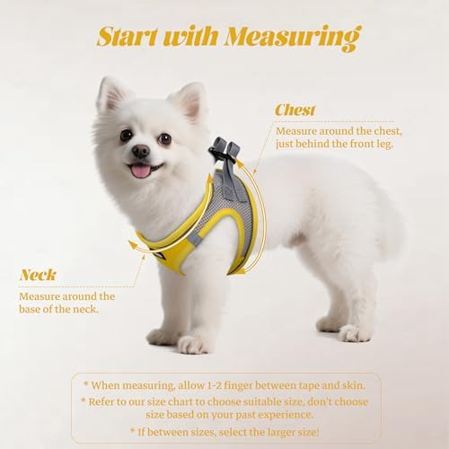 No Pull Dog Puppy Harness and Leash Set Reflective Mesh Vest X-Small - Image 2