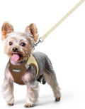 rabbitgoo Dog Harness Small Sized and Leash Set, Step-in Puppy Pet Vest by rabbitgoo