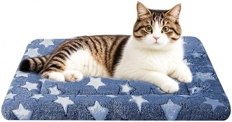 Dog Bed Mat, Reversible Crate Pad & Cute Dog Bed by FogkissComfyPawsHome