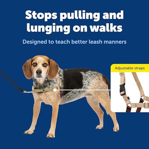 PetSafe Easy Walk Harness, No Pull Dog Harness, Small/Medium - Image 5