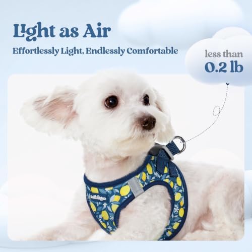 rabbitgoo Dog Harness Small Sized and Leash Set, Step-in Puppy Pet Vest - Image 3