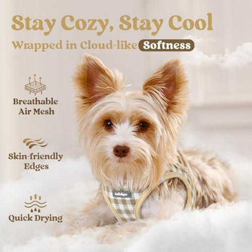 rabbitgoo Step-in Small Dog Harness, Puppy Vest - Image 3