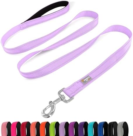 6 FT Basic Dog Leash for Large Dogs by Penseepet