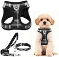 PUPTECK Dog Harness, Collar and Leash Set No Pull by PUPTECK