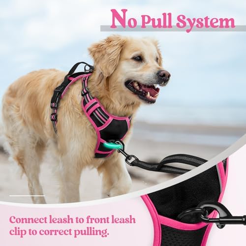 rabbitgoo Dog Harness, No Pull Medium Sized - Image 5