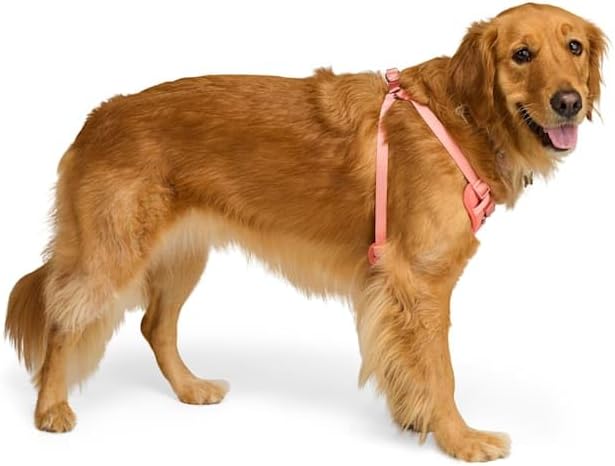 EveryYay by Petco Step in Dog Harness Pink Small - Image 2