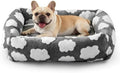 JOEJOY Small Dog Bed for Small Dogs, Rectangle Washable Orthopedic Dog Bed by JOEJOY