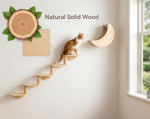 Cat Wall Shelves, Solid Wood Moon Bed, 5-Step Stairs - Image 6