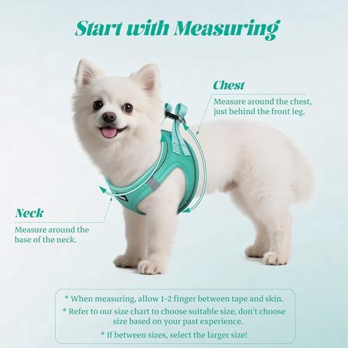 No Pull Dog Puppy Harness and Leash Set Reflective Mesh Vest Small - Image 2