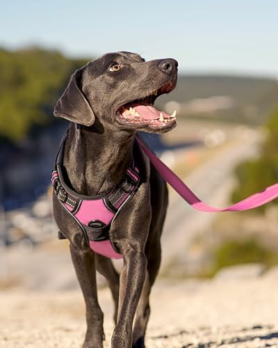 Joytale No Pull Dog Harness for Extra Large Dogs, Front Clip - Image 6