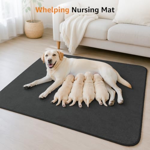 LOOBANI Washable Pee Pads for Dogs, 2 Pack Fast Absorbent Dog Mats - Image 6