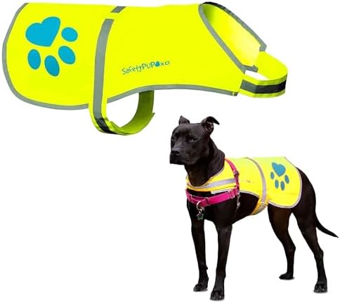 Reflective Dog Vest, Hi Vis Safety Gear by SafetyPUPXD