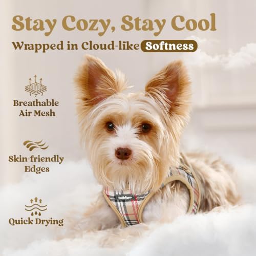 rabbitgoo Step-in Small Dog Harness, Puppy Vest - Image 3