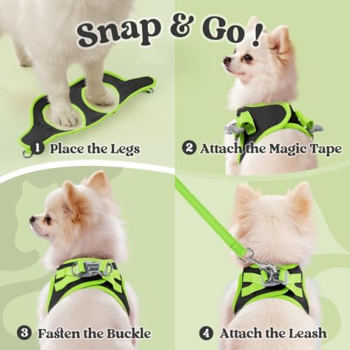 rabbitgoo Dog Harness Small Sized and Leash Set, Step in Soft Vest - Image 2