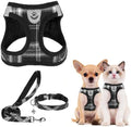PUPTECK Dog Harness, Collar and Leash Set No Pull by PUPTECK