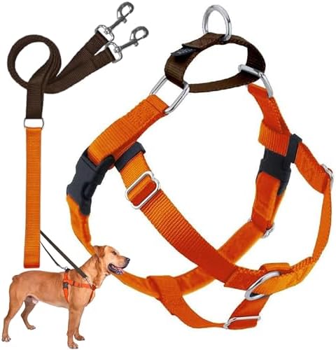 2 Hounds Design Freedom No Pull Dog Harness and Leash, Neon Orange by 2HoundsDesign