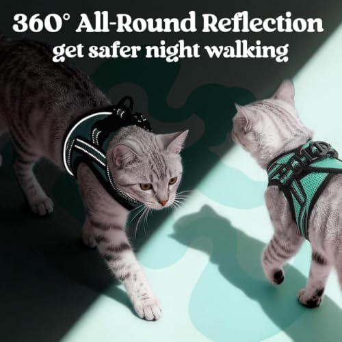 rabbitgoo Cat Harness and Leash Set, Step-in Soft Vest - Image 6