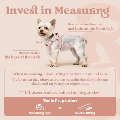 rabbitgoo Step-in Small Dog Harness, Puppy Vest - Image 2