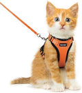 Dooradar Cat Harness and Leash Set, Adjustable and Escape Proof by Dooradar