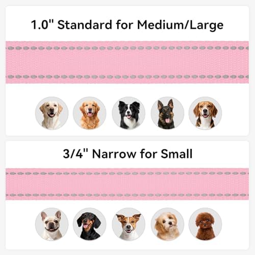 Joytale Reflective Dog Leash for Small Dogs, 5 FT x 3/4" - Image 6