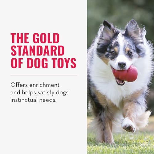 KONG Classic Stuffable Toy, Natural Rubber, Extra Large Dogs - Image 5