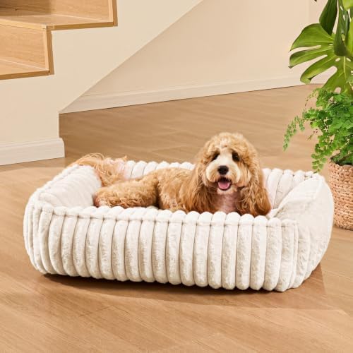 Medium Dog Bed Calming Cat Bed for Indoor Cats 24’’x20’’ Ivory - Image 2